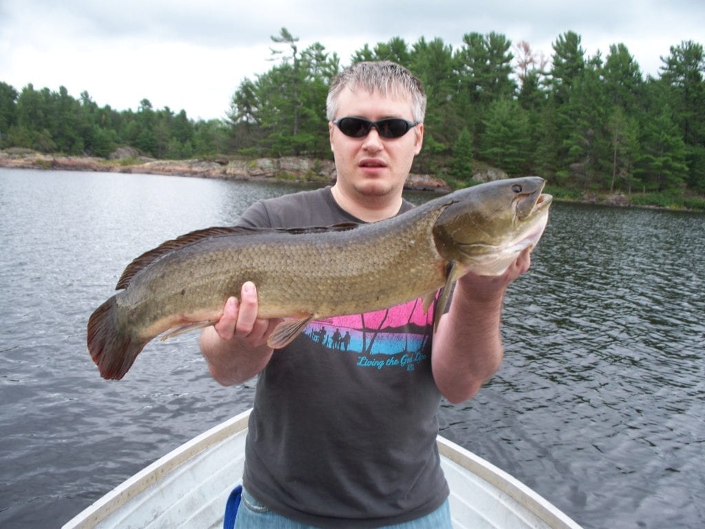 World Record Bowfin catch and release Fishing French River line class 25 lbs rod and reel Ontario Canada