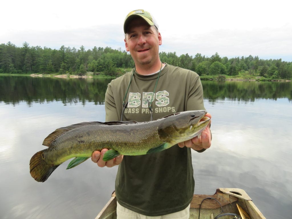 Jake holding a French River Delta, Northern Ontario male Bowfin in spring colours