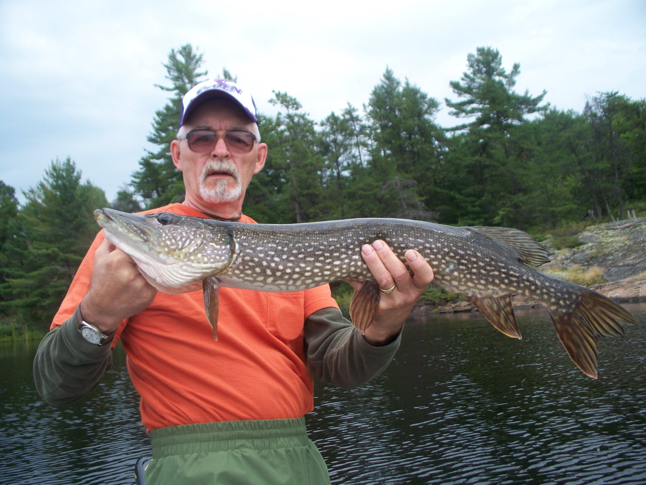 French River Northern Pike caught and released by Neil Crilly of Pa