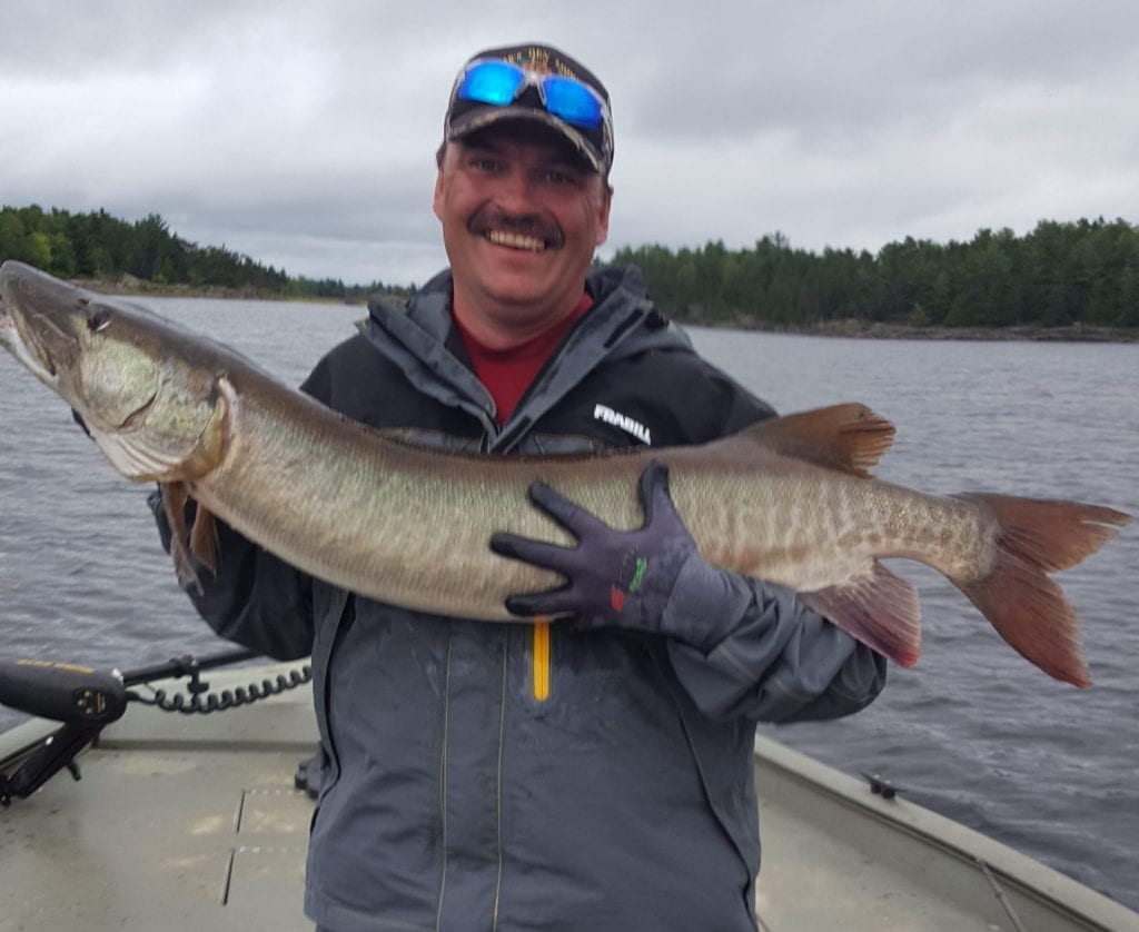 Musky Fisherman holding a French River Musky in September during the cooler weather and rainy season