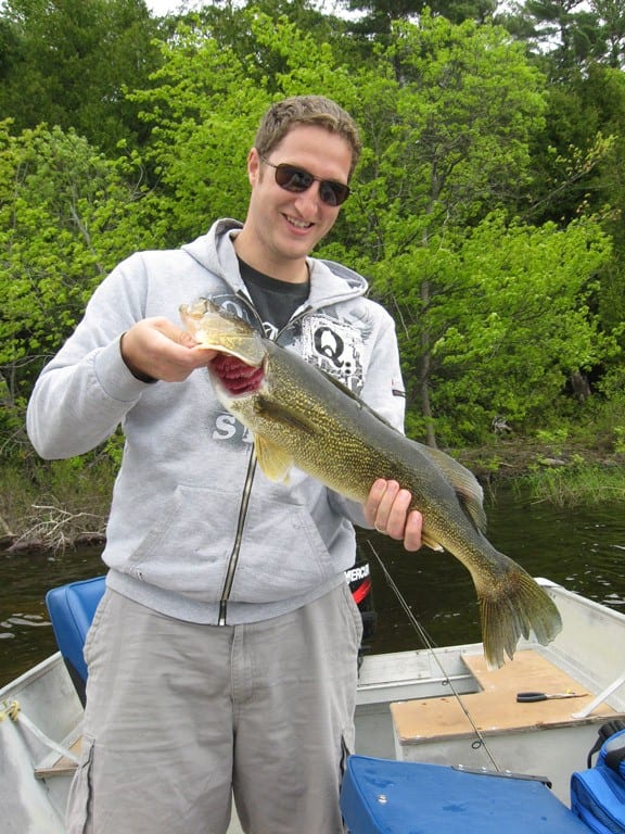 A spring French River Walleye being held by a man in a gray sweater in a Bear's Den Lodge rental boat.