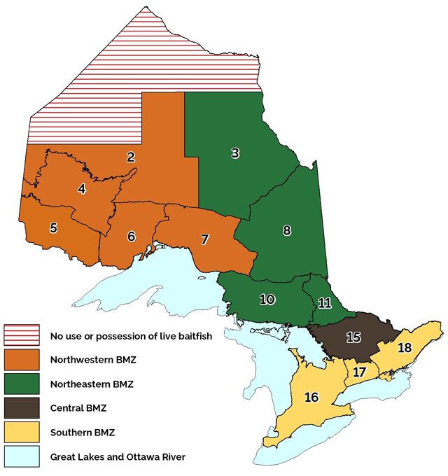 Ontario Bait Management Zone showing areas where live bait can be legally purchased and transported for sport fishing.
