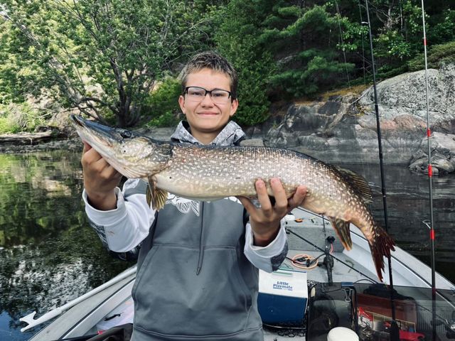 Young man holding a French River Northern Pike with green pine trees in the background and water around the fishing boat. The Northern Pike is being held properly in a horizontal hold.