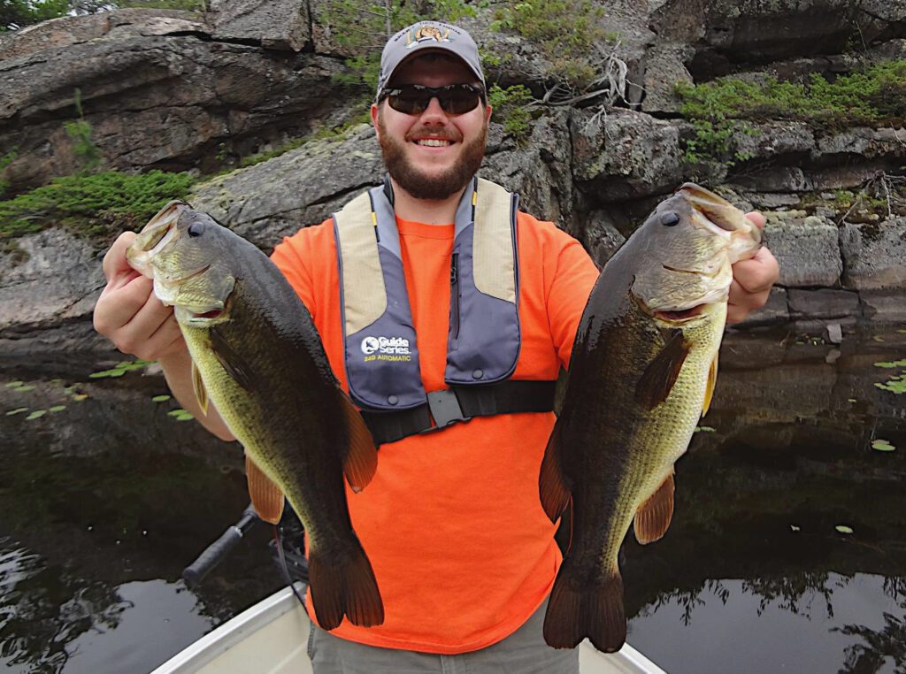 Two French River Largemouth Bass being held a by a man in orange t-shirt in a Bear's Den Lodge Rental Boat.