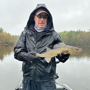 French River Walleye caught near weeds during a rainy day.